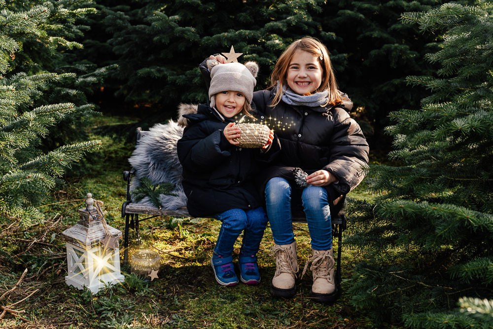 Weihnachtsfotos im Christbaumwald in Linz Land mit Familienfotos